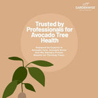 GARDENWISE Avocado Tree Soil – Premium Organic Potting Mix for Avocado Trees | Tailored pH & Organic Nutrients | Fast-Draining & Moisture-Retaining | Indoor & Outdoor Use (5 QUARTS) - Image 7
