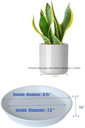 Plant Saucer 8 Inch, 2 Pack Large Plant Saucers Ceramic Tray 8 inch (7.3" Inner) for Flower Pot, Classic Sturdy Planter Water Catcher Tray for Plant Base,White - Image 2