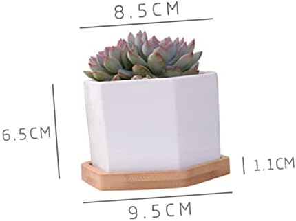 Mikikit White Ceramic Hexagonal Succulent Pots 2 Sets with Bamboo Tray - Image 4