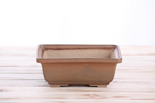 Willow Bonsai Ceramics Square Bonsai Pot 6 Inch – Low‑Profile Square Ceramic Bonsai & Succulent Pot with Accentuated Rim, High‑Fired Frost‑Proof Stoneware, Handmade in USA (Deep Stone, 6inch) - Image 2