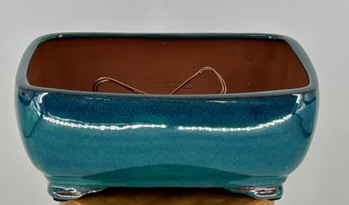 Bonsai Boy L251D 10 x 8 x 4 in. Ceramic Bonsai Pot Dark Moss Green - Rectangle by Bonsai+Boy