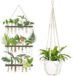 Mkono Plant Propagation Tubes and 43 Inch Macrame Plant Hanger Large for up to 12 Inch Pot Extra Long by Mkono