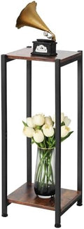 Dipion 31 Inch Tall Plant Stand Indoor,2 Tier Pedestal Stand,Rustic Brown by CozyTimes