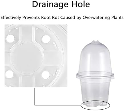 Plant Nursery Pots,Compatible for Lids PET, Transparent Humidity Domes Nursery Cups for Transplanting Seedlings Plant Starter Cont ainer A2 - Image 4