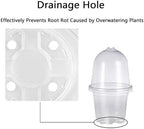 Plant Nursery Pots,Compatible for Lids PET, Transparent Humidity Domes Nursery Cups for Transplanting Seedlings Plant Starter Cont ainer A2 - Image 4