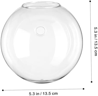Generic 4pcs Glass Wall Planters for Indoor Plants Decorative Hanging Terrarium Globes Water Holder for Propagation Station and Home Wall Decor - Image 2