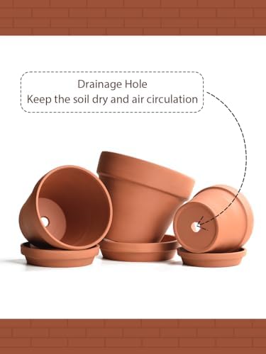 INGOFIN Terracotta Pots Set with Saucer - 5/6/7 inch Ceramic Clay Planters with Drainage Hole, Garden Flower Succulent Pots with Tray for Indoor Outdoor Plants, Set of 3 - Image 4