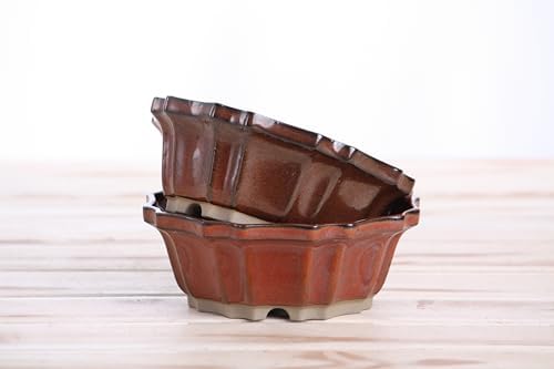 Willow Bonsai Ceramics Flower Design Bonsai Pot 5 Inch – Elegant Ceramic Bonsai & Succulent Pot, High‑Fired Frost‑Proof Stoneware with Drainage+Wiring Holes, Handmade USA (Sunset, 5inch) - Image 7