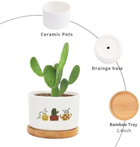 DreamAutumn Plants Ceramic Flower Pots Set of 3,Gardening Plant Pot with Drainage Holes and Saucers Round Ceramic Pots for Indoor Plants Succulent Herbs Cactus Pots - Image 3