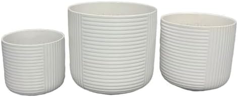 8 Inch White Ceramic Planters with Ribbed Texture, Set of 3 by Noeko