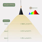 Hanging Grow Light, 20W Full Spectrum Pendant Grow Lights 15FT Power Cord, Decorative Grow Light for Indoor Plants, Flowers, Garden (Ceiling Mounted Hooks&Wall Mounted Bracket Included) - Image 4