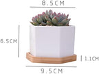 BESPORTBLE White Hexagonal Ceramic Succulent Pots, 2 Sets with Bamboo Tray - Image 2