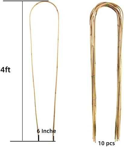 Avalution 10 Pcs Natural U-Hoops Bamboo Garden Trellis, 4 Ft Bamboo Trellis U-Shape Plant Support for Climbing Plants Indoor and Outdoor Use - Image 2