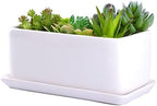 VanEnjoy 10 Inch White Rectangle Ceramic Succulent Planter Pot Decorative Cactus Plant Pot Flower Container with Ceramic Tray by VanEnjoy