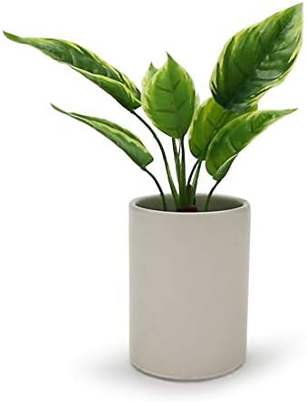 WGV Ceramic Cylinder Vase Bulk Width 4" Height 6" Elegant Unique Modern Matte Floral Container Planter Pot Centerpiece for Event Party Wedding Office Home Decor, Smooth White 12 Pieces - Image 3