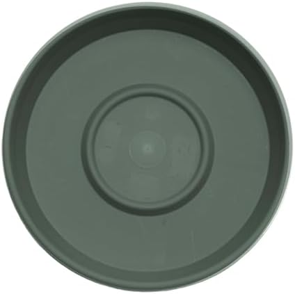 Bloem Terra Plastic Saucer Tray for 6" Terra Planters, Basil, 10-Pack - Image 4
