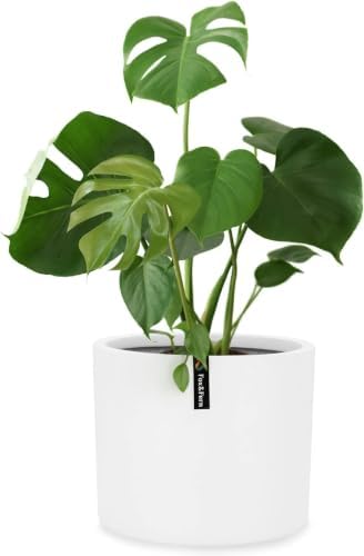 Fox & Fern Large Planter for Indoor or Outdoor, Matte White, 10 Inch by FoxFern