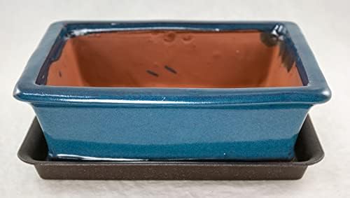 Rectangular Bonsai / Succulent Pot + Tray + Mesh 10x 8x 3 - Washed Blue - Image 2