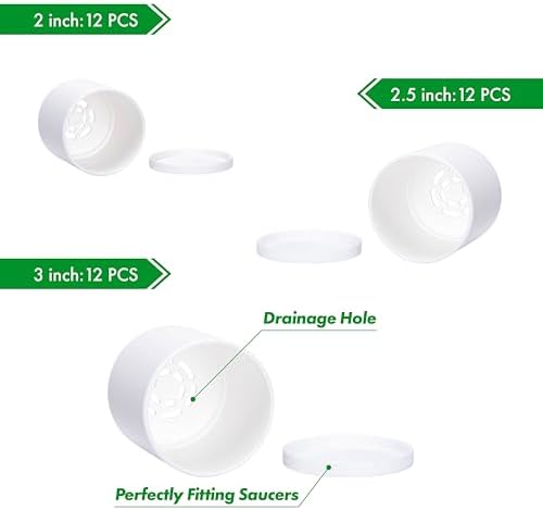 D'vine Dev 36-Pack Plastic Planter Pots, 2/2.5/3 in, White, 74-T-A - Image 4