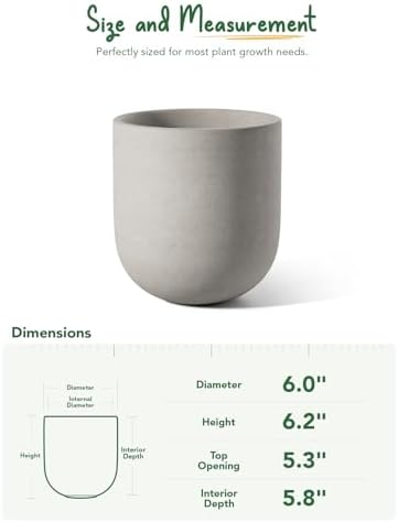 LE TAUCI 6 Inch Ceramic Plant Pot, Small Indoor Planter, Neutral Gray - Image 3