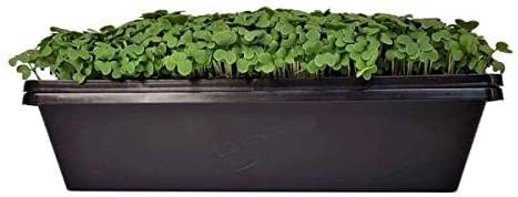 Bootstrap Farmer 1010 Trays 10 Pack Extra Strength w/Holes Seed Starting Microgreens - Image 4