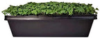 Bootstrap Farmer 1010 Trays 10 Pack Extra Strength w/Holes Seed Starting Microgreens - Image 4