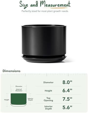 LE TAUCI 8 Inch Plant Pot, Ceramic Pots for Plants, Black - Image 4