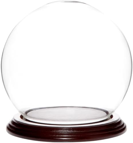Plymor 5" x 6" Glass Display Dome Globe Cloche (Dark Mahogany Veneer Base), Pack of 2 by Plymor
