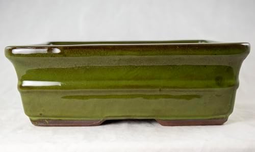 Rectangular Moss Green Bonsai, Cactus, Succulent Pot 10x 8x 3.25 Tray Mesh - Image 3
