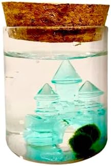 Moss Pet Glass Terrarium Bottle Kit with Cork Lid, Crystal Castle Design, 2 Moss Amigos, Decorative Display Jar Gift for Men and Women - Image 5