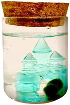 Moss Pet Glass Terrarium Bottle Kit with Cork Lid, Crystal Castle Design, 2 Moss Amigos, Decorative Display Jar Gift for Men and Women - Image 5