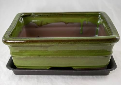 Rectangular Moss Green Bonsai, Cactus, Succulent Pot 10x 8x 3.25 Tray Mesh by Unknown