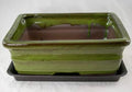 Rectangular Moss Green Bonsai, Cactus, Succulent Pot 10x 8x 3.25 Tray Mesh by Unknown