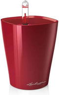 Lechuza MINI-DELTINI Scarlet Red High Gloss, Self-Watering Small Indoor Planter, H5.1 L3.9 W3.9 in by LECHUZA