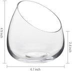 MyGift 5 Inch Premium Clear Glass Air Plant Terrarium, Tealight Candle Holder, Succulent Cactus Plant Vase, Set of 4 - Image 5