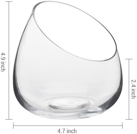MyGift 5 Inch Premium Clear Glass Air Plant Terrarium, Tealight Candle Holder, Succulent Cactus Plant Vase, Set of 4 - Image 5