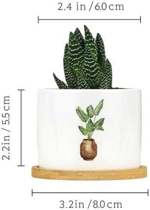 DreamAutumn Pack of 3 Planters Ceramic Plants Ceramic Pots with Drainage Holes Round Flowerpot Bamboo Tray Plant Pots for Succuelnt and Little Snake Plants - Image 2