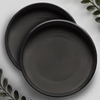 Willowy Heavy Duty Ceramic with Silicone Feet for Added Surface Protection - Scratch-Resistant Plant Drip Trays (Pack of 2) - Plant Plate for Pots 8.3" at the Base or Less, Saucer for Potted Plants by Willowy