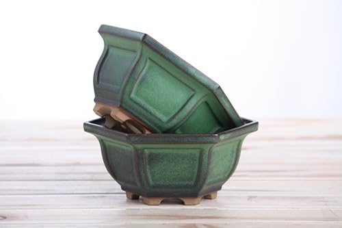 Willow Bonsai Ceramics Hexagonal Windowed Bonsai Pot 5 Inch – Semi‑Cascade Planter, High‑Fired Frost‑Proof Stoneware with Drainage & Wiring Holes, Handmade in USA (Avocado) - Image 7