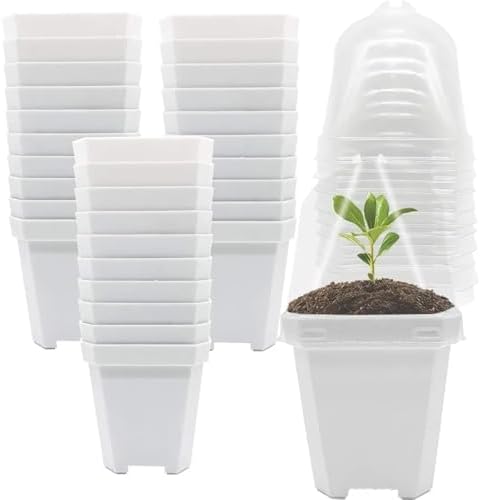 30 Pcs Plant Nursery Pots with Humidity Dome for Succulents & Seedlings by Unknown