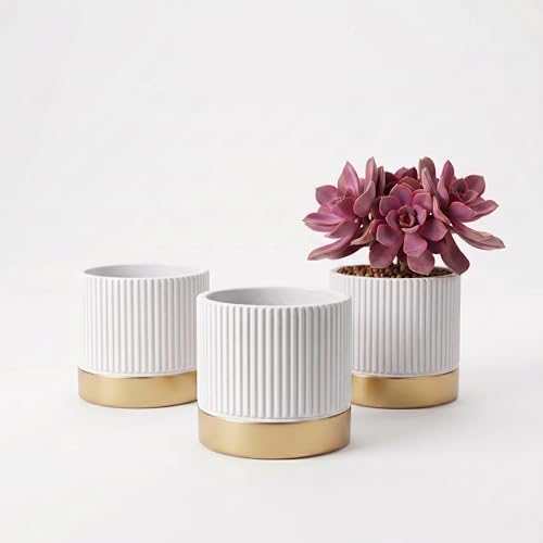 Set of 3 Cement Planter Pots with Drainage Hole,4 inch Plant Pots for Plants Indoor Houseplants,Succulent Pots Windowsil Planter (White&Gold) by Ten-stone
