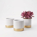 Set of 3 Cement Planter Pots with Drainage Hole,4 inch Plant Pots for Plants Indoor Houseplants,Succulent Pots Windowsil Planter (White&Gold) by Ten-stone
