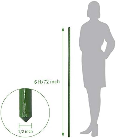 Growsun 6ft 50 Pack Tomato Stakes Plant Stake Supports Garden Fences Trellis Metal Plastic Coated Plant Cage Supports Climbing - Image 2