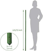 Growsun 6ft 50 Pack Tomato Stakes Plant Stake Supports Garden Fences Trellis Metal Plastic Coated Plant Cage Supports Climbing - Image 2