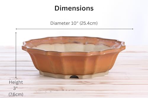 Willow Bonsai Ceramics Flower Design Bonsai Pot 10 Inch – Elegant Ceramic Bonsai & Succulent Pot, High‑Fired Frost‑Proof Stoneware with Drainage+Wiring Holes, Handmade USA (Deep Stone, 10inch) - Image 4