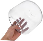 Glass Plant Terrarium Jar for Hydroponic Plants and Micro Landscapes - Image 4