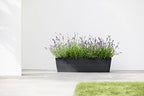 Ecopots Bruges Rectangular Flower Planter, Dark Grey, 17.75" - Image 3