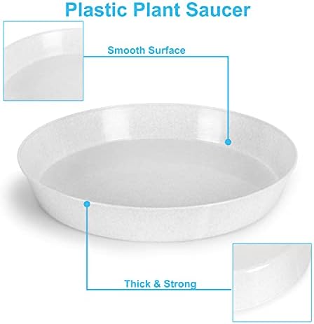8 Inch (6.3 Inch Base) Case of 10 Plant Saucers - Image 5