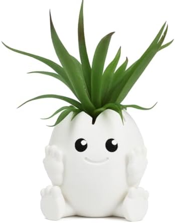 Chatelet Cute Egg Shell Planter | Unique Dinosaur Tabletop Indoor or Outdoor Planter Pot | Flowers, Succulents, or Vegetable Pot | Made in USA (Cute Egg, Large) by Chatelet