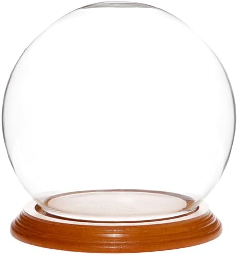 Plymor 5" x 6" Glass Display Dome Globe Cloche (Oak Veneer Base) by Plymor